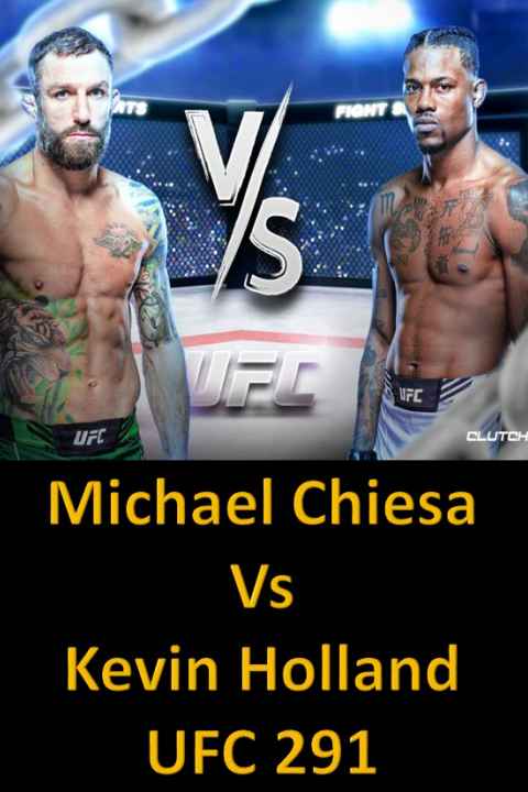 UFC 291