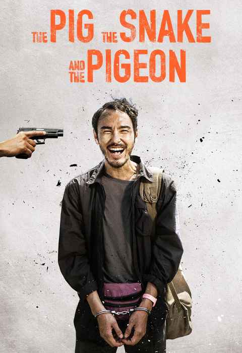 The Pig the Snake and the Pigeon