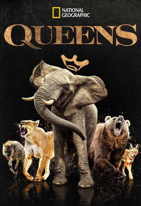 Queens