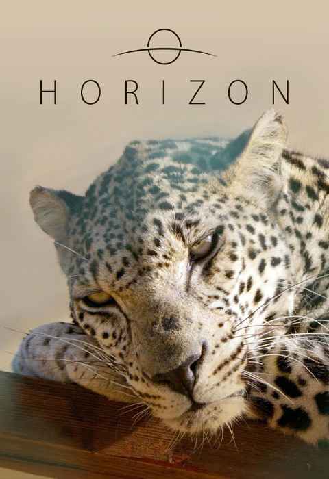 Horizon