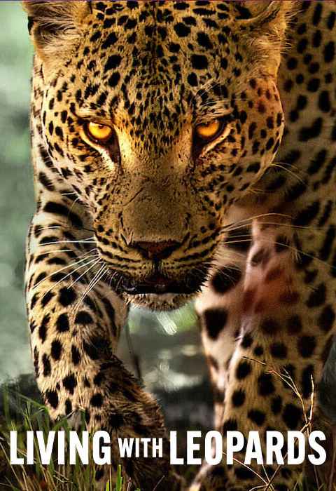 Living with Leopards