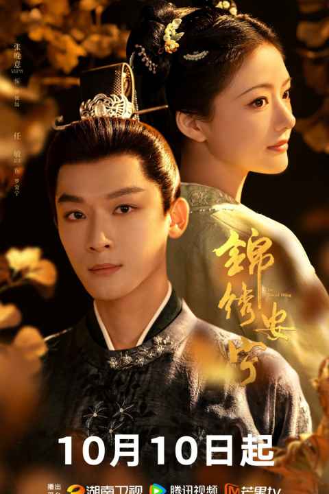 The Rise of Ning