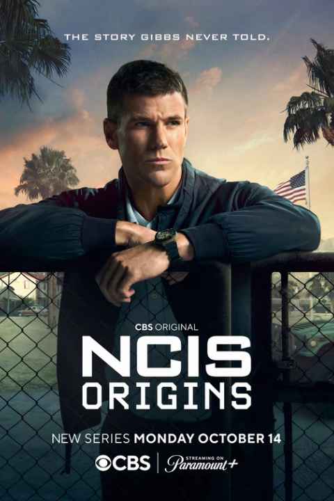 NCIS Origins