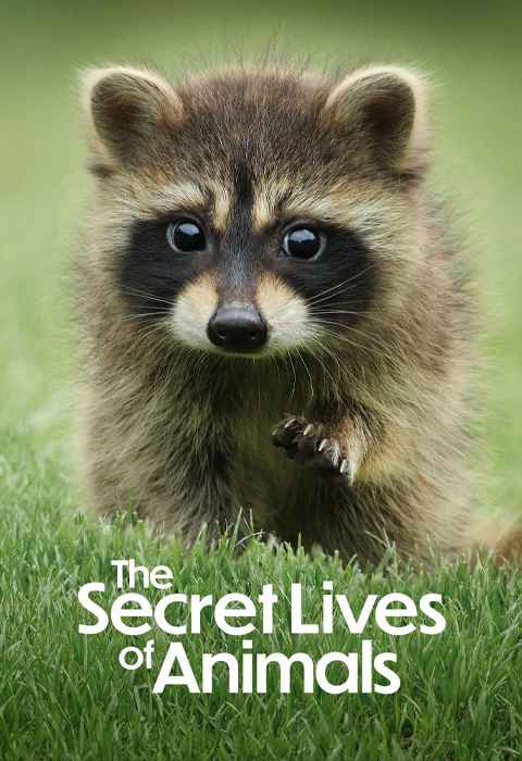 The Secret Lives of Animals