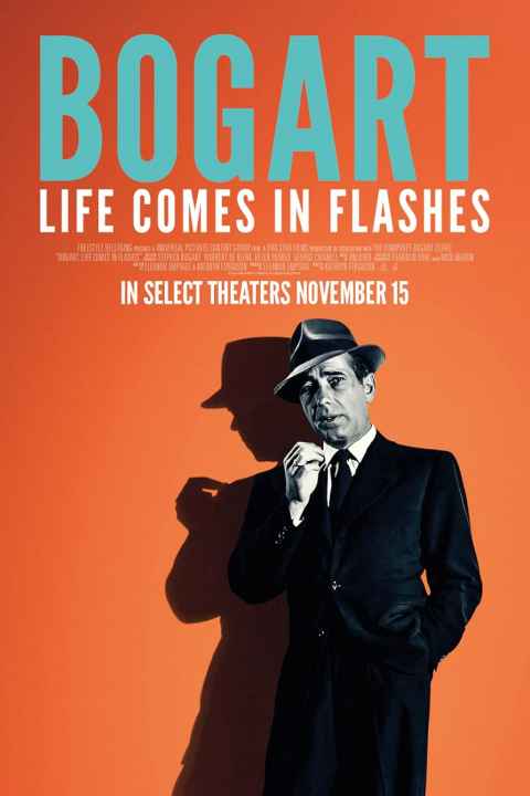Bogart Life Comes in Flashes