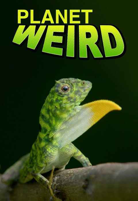Planet Weird