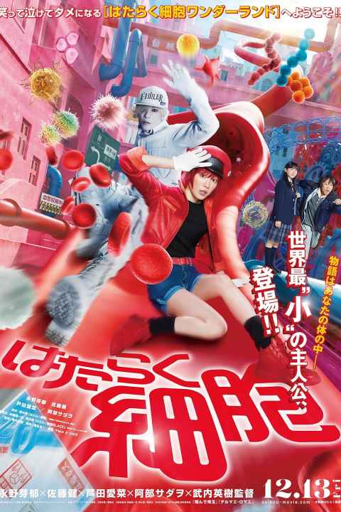 Cells at Work