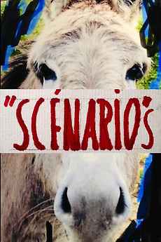 Scenarios