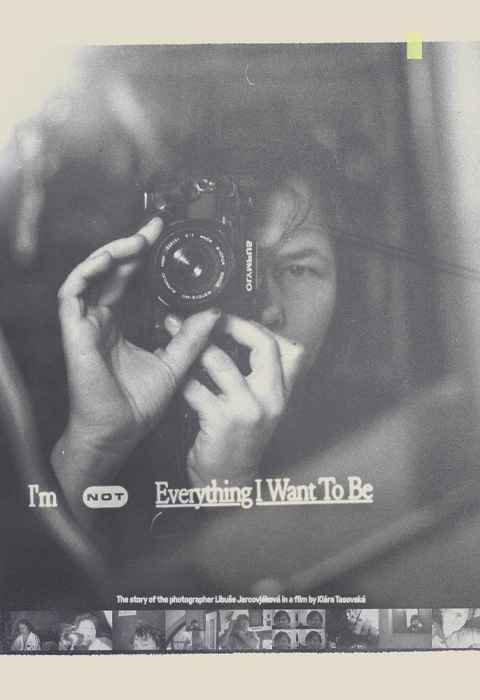 Im Not Everything I Want to Be