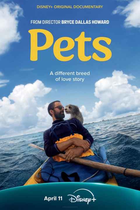 Pets