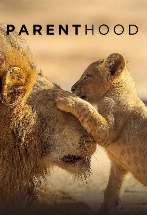 Parenthood