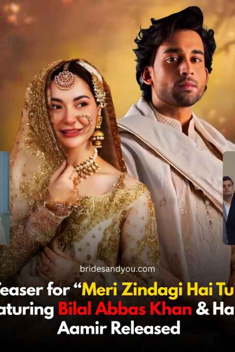 Meri Zindagi Hai Tu
