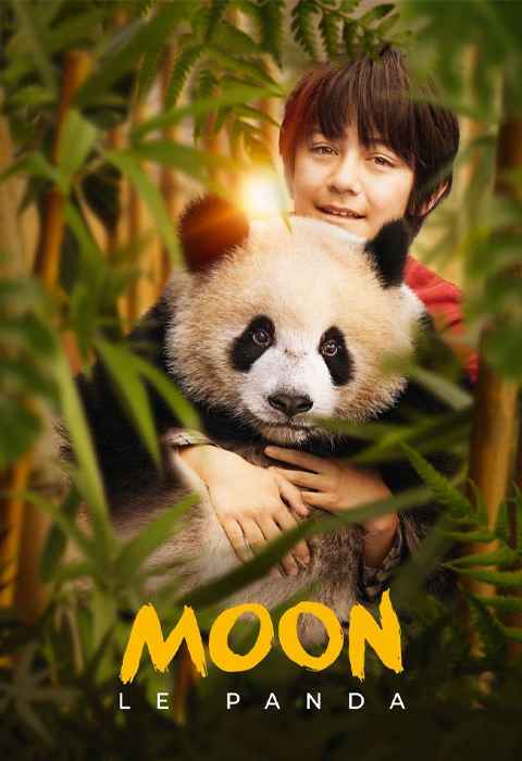 Moon The Panda