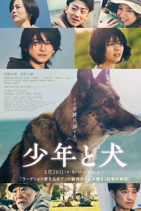 The Boy and the Dog