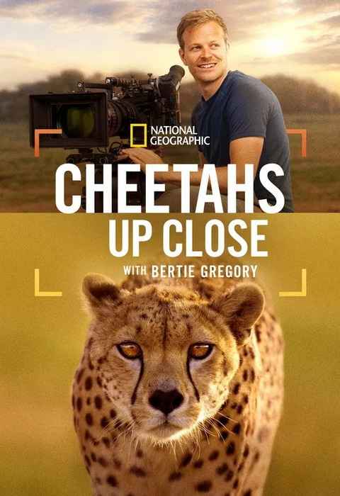 Cheetahs Up Close with Bertie Gregory
