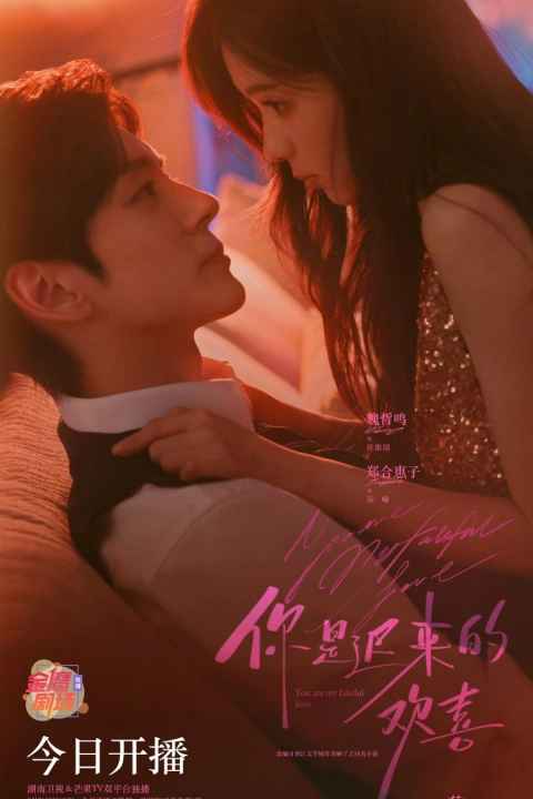 You Are My Fateful Love