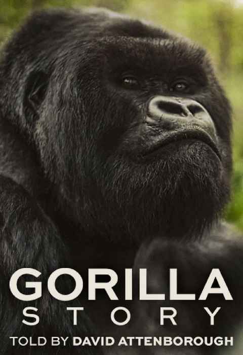 A Gorilla Story Told by David Attenborough