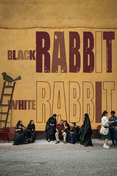 Black Rabbit White Rabbit