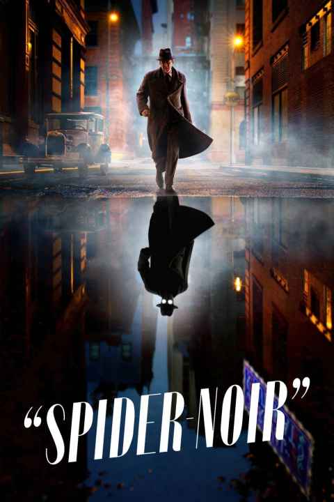Spider Noir