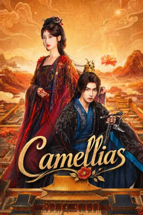 Camellias