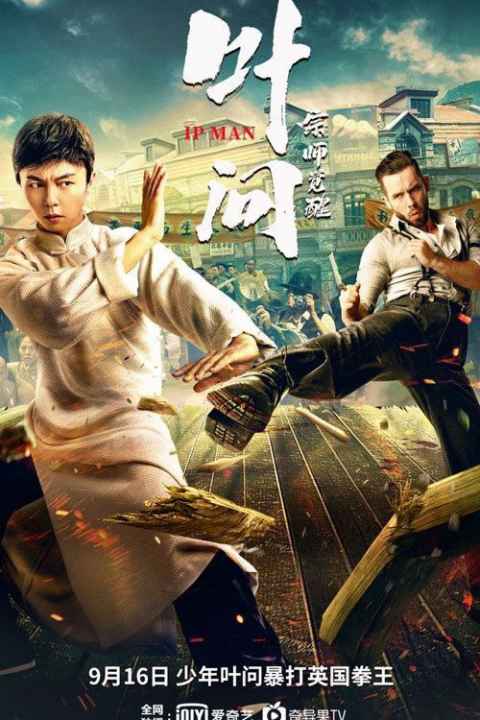 Ip Man Kung Fu Legend