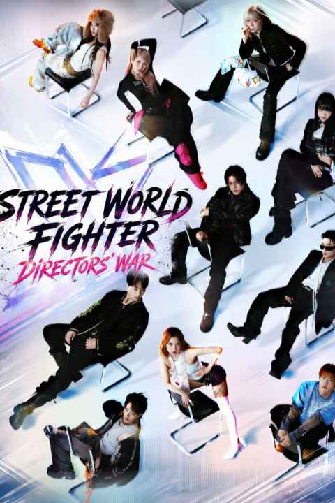 Street World Fighter Directors War