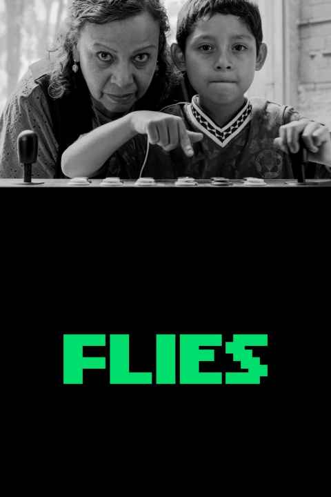 Flies